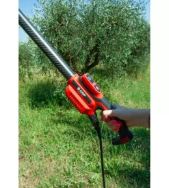 Best Abbacchiatore olive