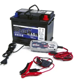 Abbacchiatori-Blue Bird Abbacchiatore olive "egeo 23-50 at" con kit batteria e caricabatteria 12v