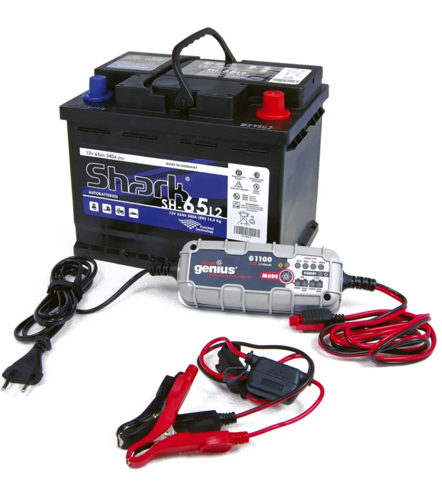 Abbacchiatori-Blue Bird Abbacchiatore olive "egeo 23-50 at" con kit batteria e caricabatteria 12v