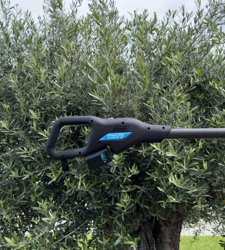 Abbacchiatori-Campagnola Abbacchiatore olive elettrico a batteria "alice star eco plug-in" movimento ellittico contrapposto 12v, unità power eco plug-in e gilet