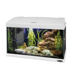 Ferplast Acquariologia|Acquario capri 50 bianco con led - 52 x 27 x h 36 cm, 40 l -