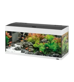 Hot Acquario dubai 100 bianco con led -101 x 41 x h 53 cm - 190 l - Acquariologia