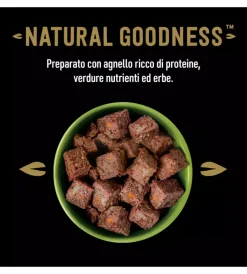 New Alimento umido per cani cesar con agnello e carote 400 gr Alimenti Umido Cane