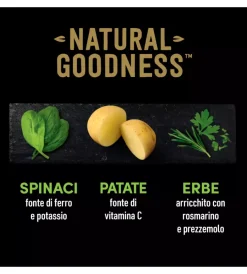 New Alimento umido per cani cesar con agnello e carote 400 gr Alimenti Umido Cane