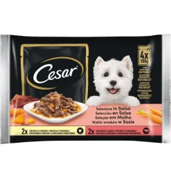Best Alimento umido per cani cesar in salsa 4 pz Alimenti Umido Cane