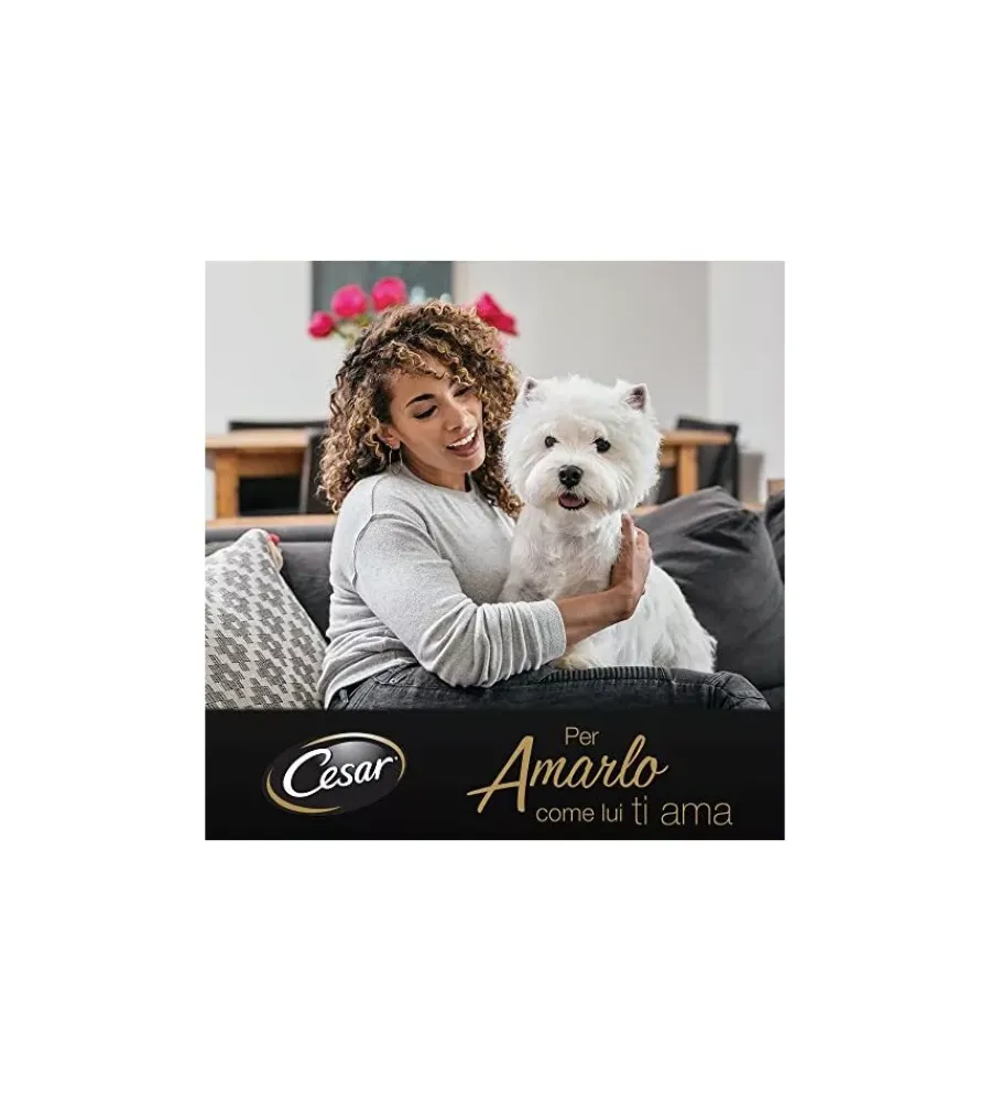 Alimenti Umido Cane- Alimento umido per cani cesar con pollo e tacchino 150 gr