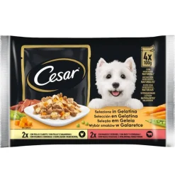 Discount Alimento umido per cani cesar in gelatina 4 pz Alimenti Umido Cane