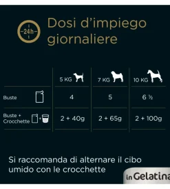 Discount Alimento umido per cani cesar in gelatina 4 pz Alimenti Umido Cane