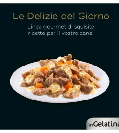 Discount Alimento umido per cani cesar in gelatina 4 pz Alimenti Umido Cane