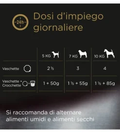 Alimenti Umido Cane- Alimento umido per cani cesar 