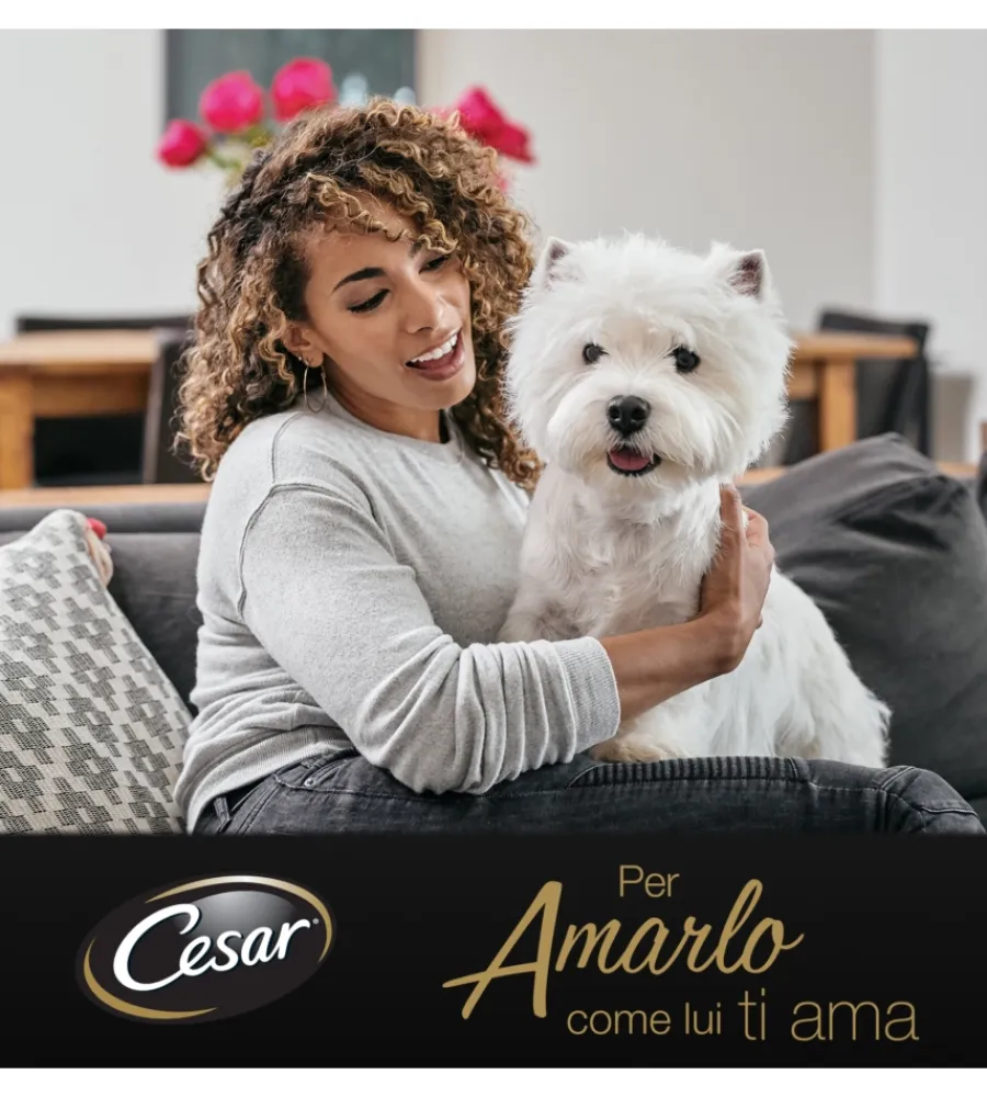 Alimenti Umido Cane|Alimento umido per cani cesar "ricette di campagna" con tenero tacchino, manzo ed erbe 150 gr