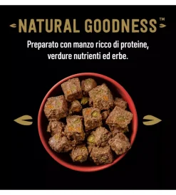 Best Alimento umido per cani cesar con manzo e carote 400 gr Alimenti Umido Cane