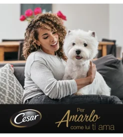 Alimenti Umido Cane- Alimento umido per cani junior cesar con tacchino e vitello 150 gr