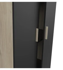 New Armadio 2 ante 