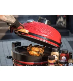Barbecue-Kamado Bono Barbecue a carbone 