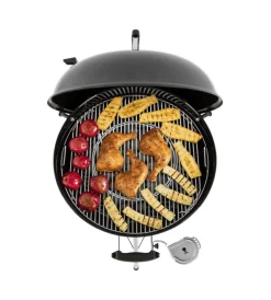 Barbecue-Weber Barbecue a carbone 