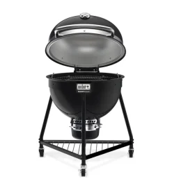 Sale Barbecue a carbone 