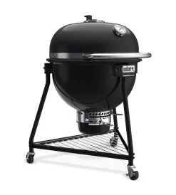 Sale Barbecue a carbone 