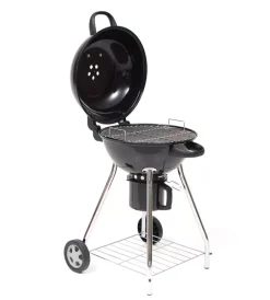 Best Barbecue a carbonella 