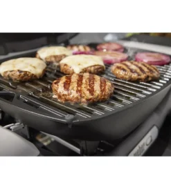 Barbecue-Weber Barbecue a gas portatile