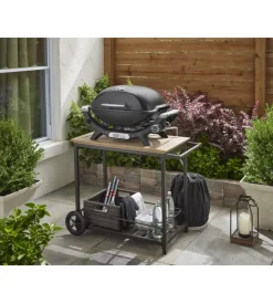 New Barbecue a gas portatile 