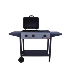Sandrigarden Barbecue|Barbecue a gas