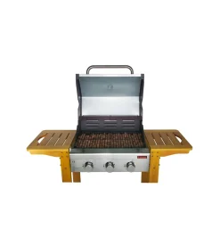 Sandrigarden Barbecue|Barbecue a gas
