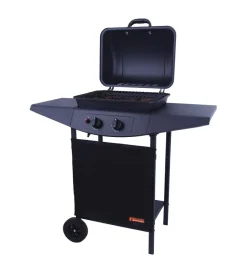 Sale Barbecue a gas