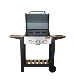 Barbecue-Sandrigarden Barbecue a gas