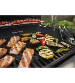 Barbecue-Weber Barbecue a gas 