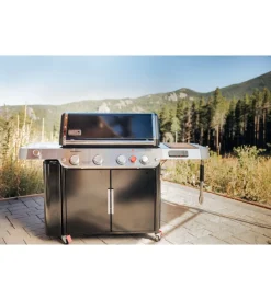 Barbecue-Weber Barbecue a gas 