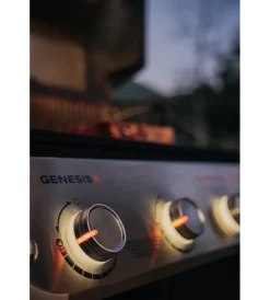 Barbecue-Weber Barbecue a gas 
