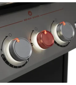 Barbecue-Weber Barbecue a gas 