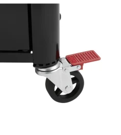 Barbecue-Weber Barbecue a gas 
