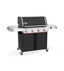 Online Barbecue a gas