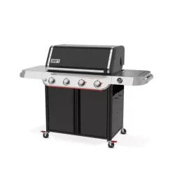 Online Barbecue a gas