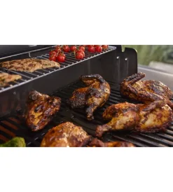 Online Barbecue a gas