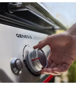 Online Barbecue a gas
