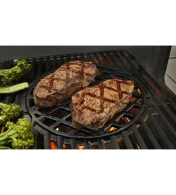 Barbecue-Weber Barbecue a gas 