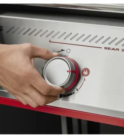 Barbecue-Weber Barbecue a gas 