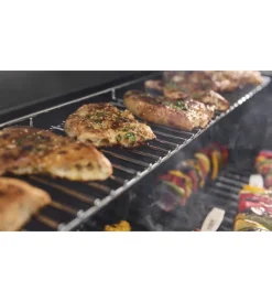 Weber Barbecue|Barbecue a gas