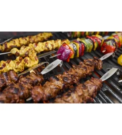 Weber Barbecue|Barbecue a gas