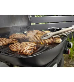 Discount Barbecue a gas 