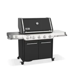 Weber Barbecue|Barbecue a gas