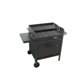Barbecue- Barbecue a legna e carbone