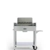 Best Barbecue a legna o carbonella fontana "tirreno" colore acciaio e griglia 80x40 Barbecue