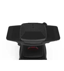 Sale Barbecue elettrico 