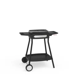 Sale Barbecue elettrico 