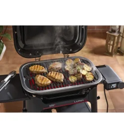 Barbecue-Weber Barbecue elettrico 