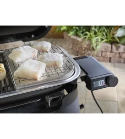 Outlet Barbecue elettrico 